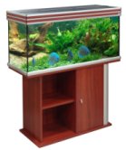 Aquarium Leasing