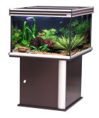 Aquarium Renting