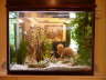 Divider aquarium between hall & diningroom