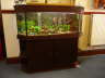 Business Aquarium Maintenance