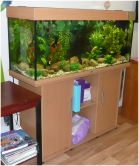 Business Aquarium Maintenance