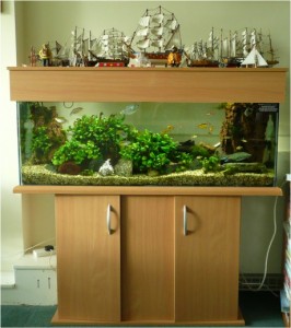 Clients Aquarium